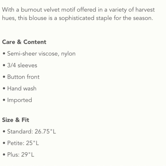 Anthropologie | Susanna Velvet Burnout Magenta Button Down Top, L - Picture 14 of 14